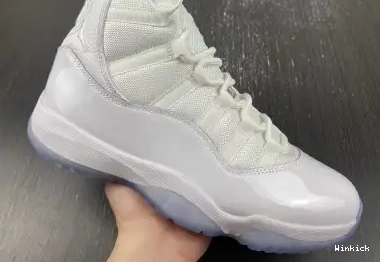 Retro Jordan 408201-101 11 'Silver Anniversary' Air 0510